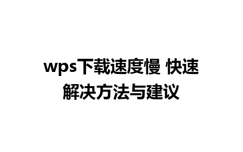 wps下载速度慢 快速解决方法与建议