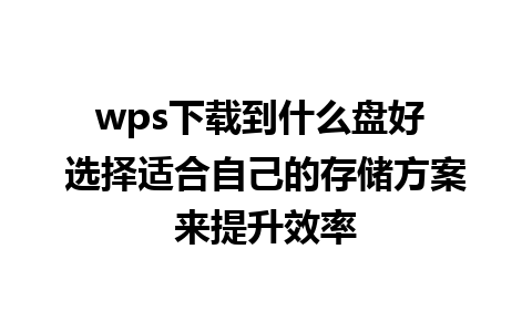 wps下载到什么盘好 选择适合自己的存储方案来提升效率