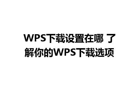 WPS下载设置在哪 了解你的WPS下载选项