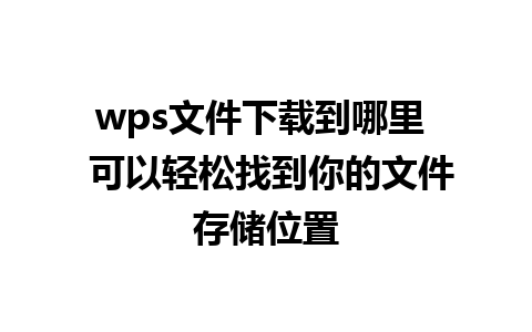 wps文件下载到哪里  可以轻松找到你的文件存储位置