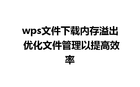 wps文件下载内存溢出 优化文件管理以提高效率