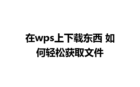 在wps上下载东西 如何轻松获取文件