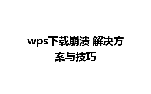 wps下载崩溃 解决方案与技巧