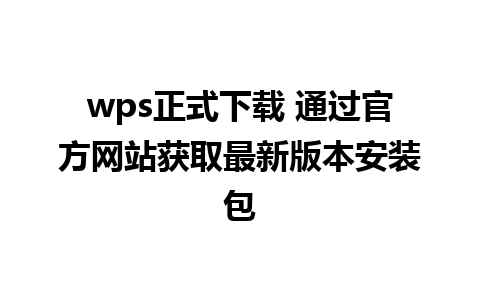 wps正式下载 通过官方网站获取最新版本安装包