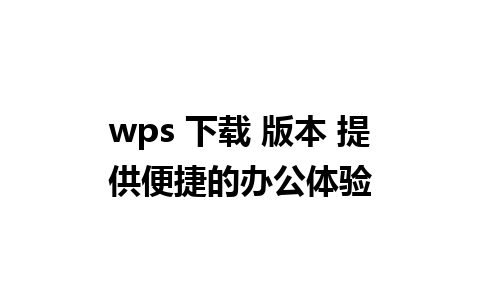 wps 下载 版本 提供便捷的办公体验