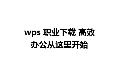 wps 职业下载 高效办公从这里开始