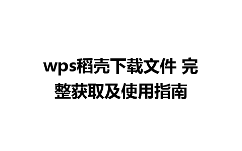 wps稻壳下载文件 完整获取及使用指南