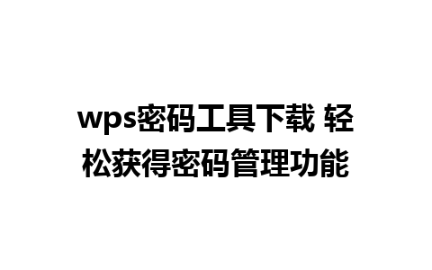 wps密码工具下载 轻松获得密码管理功能