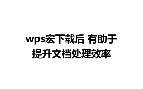 wps宏下载后 有助于提升文档处理效率