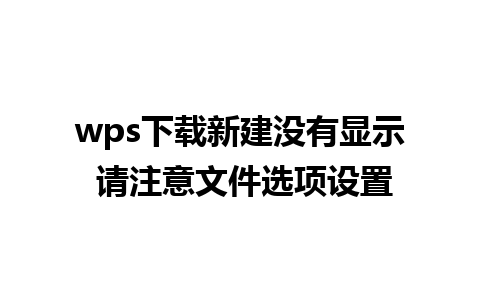 wps下载新建没有显示 请注意文件选项设置