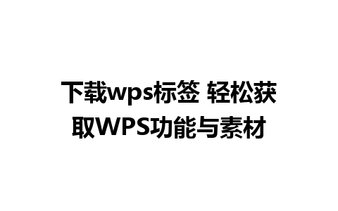 下载wps标签 轻松获取WPS功能与素材