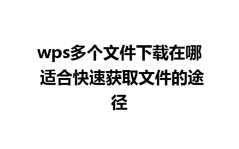 wps多个文件下载在哪 适合快速获取文件的途径