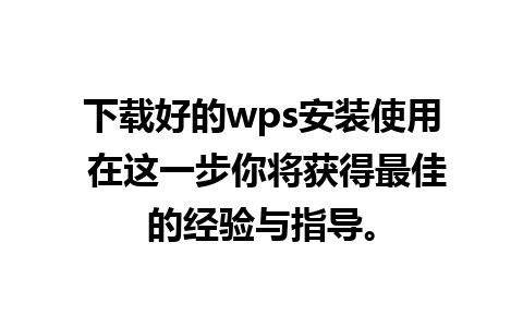 下载好的wps安装使用 在这一步你将获得最佳的经验与指导。