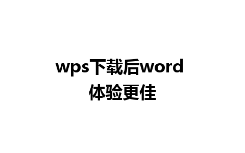 wps下载后word 体验更佳