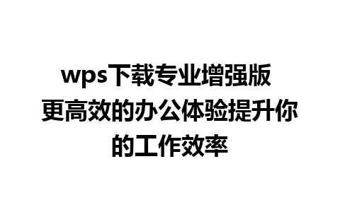 wps下载专业增强版 更高效的办公体验提升你的工作效率