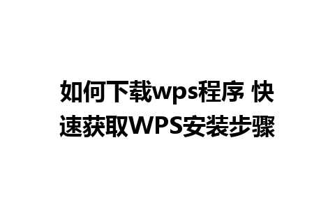 如何下载wps程序 快速获取WPS安装步骤