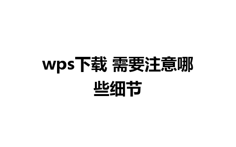 wps下载 需要注意哪些细节