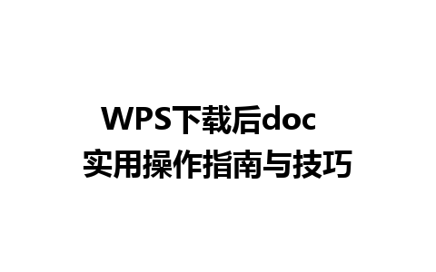 WPS下载后doc  实用操作指南与技巧