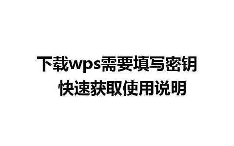 下载wps需要填写密钥  快速获取使用说明