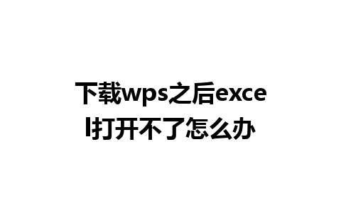 下载wps之后excel打开不了怎么办 