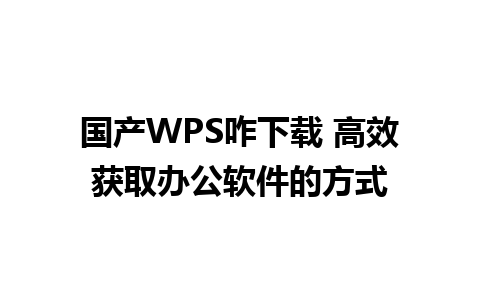 国产WPS咋下载 高效获取办公软件的方式