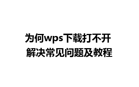 为何wps下载打不开 解决常见问题及教程