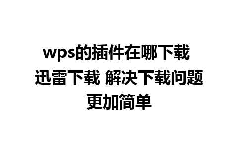 wps的插件在哪下载 迅雷下载 解决下载问题更加简单