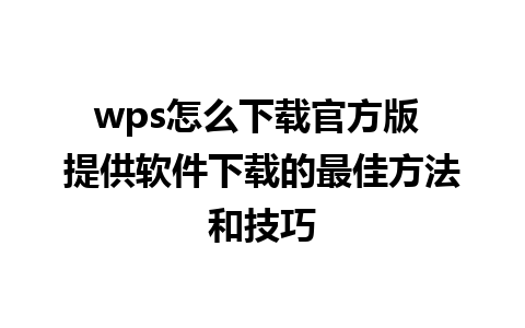 wps怎么下载官方版 提供软件下载的最佳方法和技巧