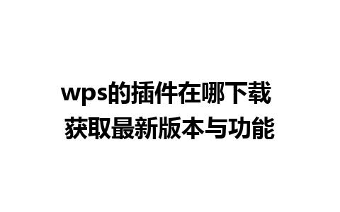 wps的插件在哪下载 获取最新版本与功能