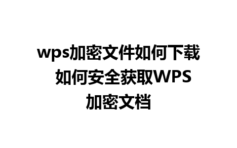 wps加密文件如何下载  如何安全获取WPS加密文档