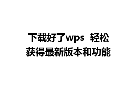 下载好了wps  轻松获得最新版本和功能