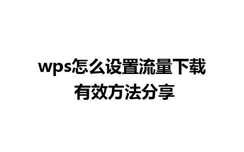 wps怎么设置流量下载 有效方法分享