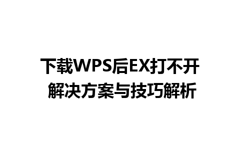 下载WPS后EX打不开 解决方案与技巧解析