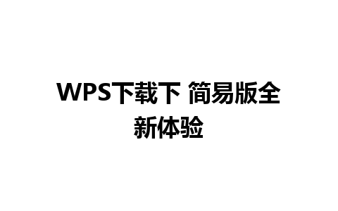 WPS下载下 简易版全新体验