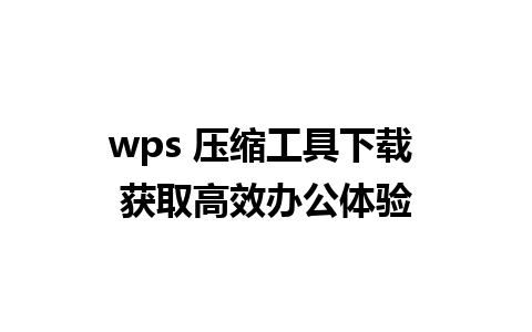 wps 压缩工具下载 获取高效办公体验