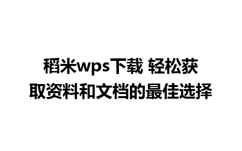 稻米wps下载 轻松获取资料和文档的最佳选择