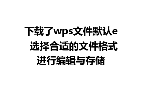 下载了wps文件默认e  选择合适的文件格式进行编辑与存储