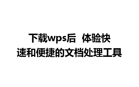 下载wps后  体验快速和便捷的文档处理工具