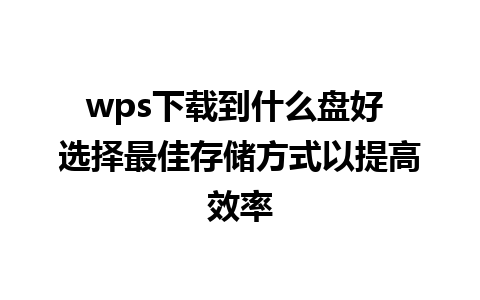 wps下载到什么盘好 选择最佳存储方式以提高效率