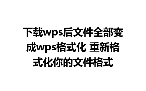 下载wps后文件全部变成wps格式化 重新格式化你的文件格式