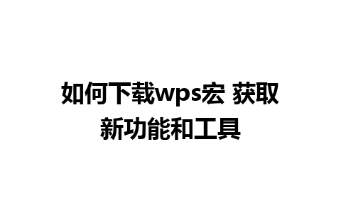 如何下载wps宏 获取新功能和工具