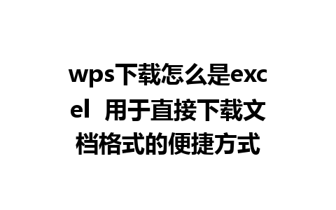 wps下载怎么是excel  用于直接下载文档格式的便捷方式