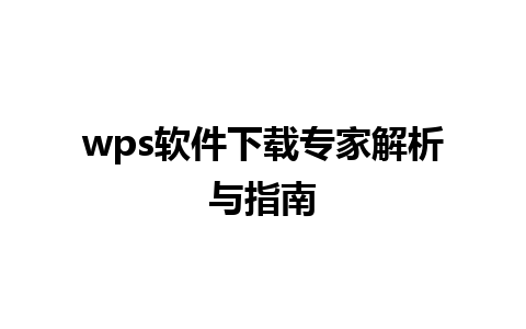 wps软件下载专家解析与指南