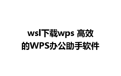 wsl下载wps 高效的WPS办公助手软件