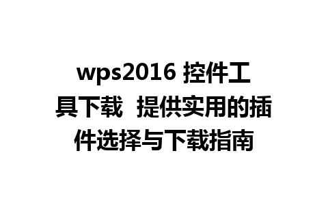 wps2016 控件工具下载  提供实用的插件选择与下载指南