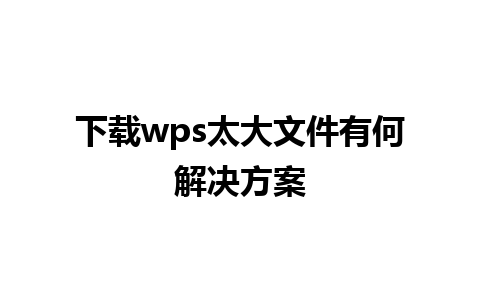 下载wps太大文件有何解决方案