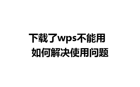 下载了wps不能用  如何解决使用问题