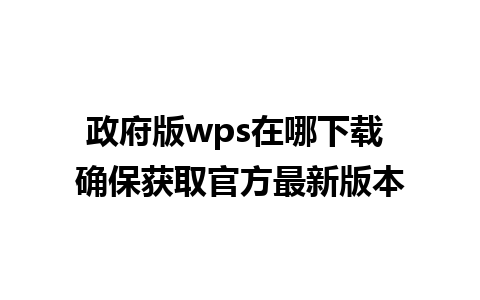 政府版wps在哪下载 确保获取官方最新版本