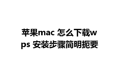 苹果mac 怎么下载wps 安装步骤简明扼要