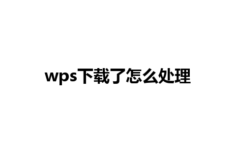 wps下载了怎么处理 